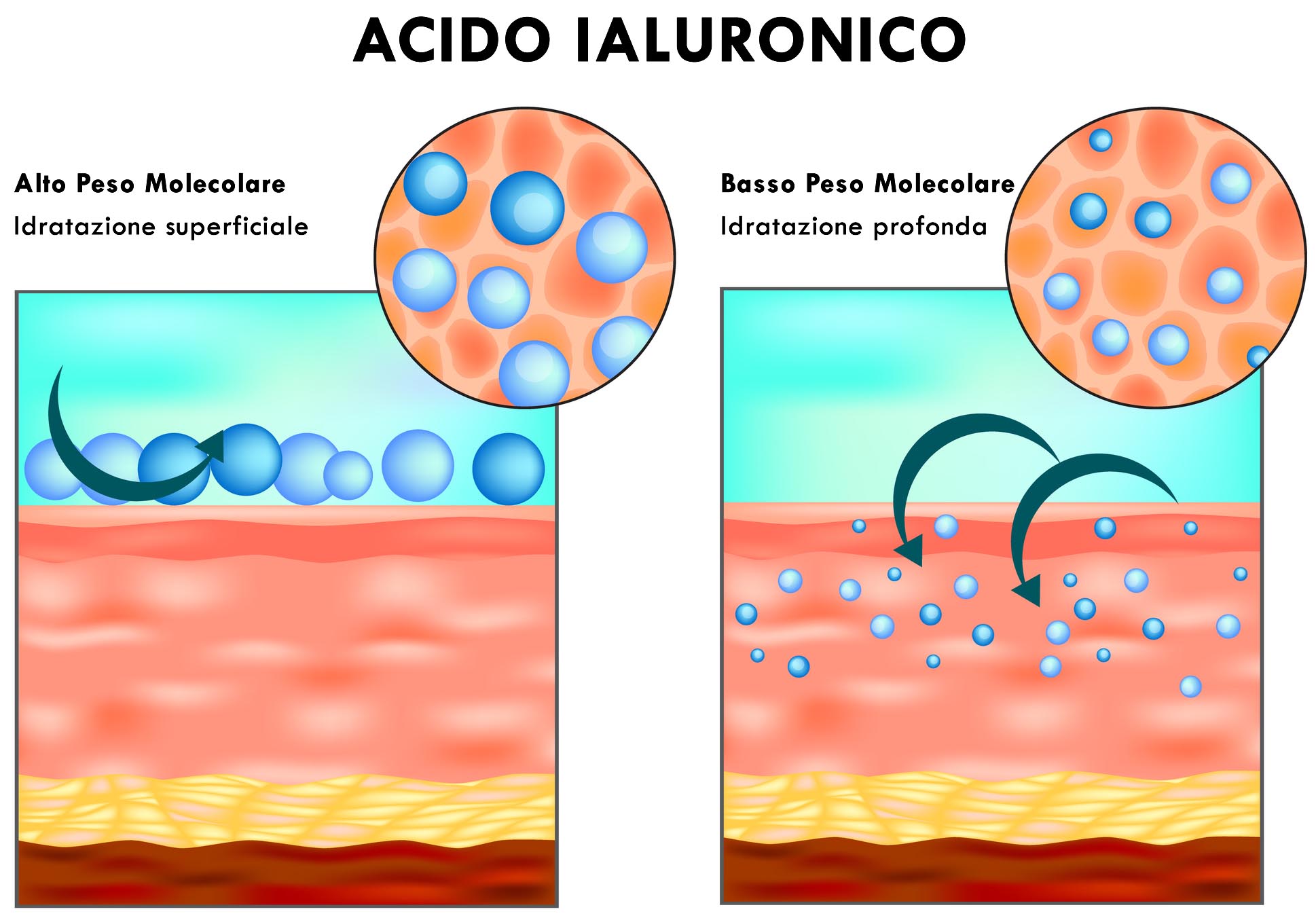 acido ialuronico e condroitin solfato