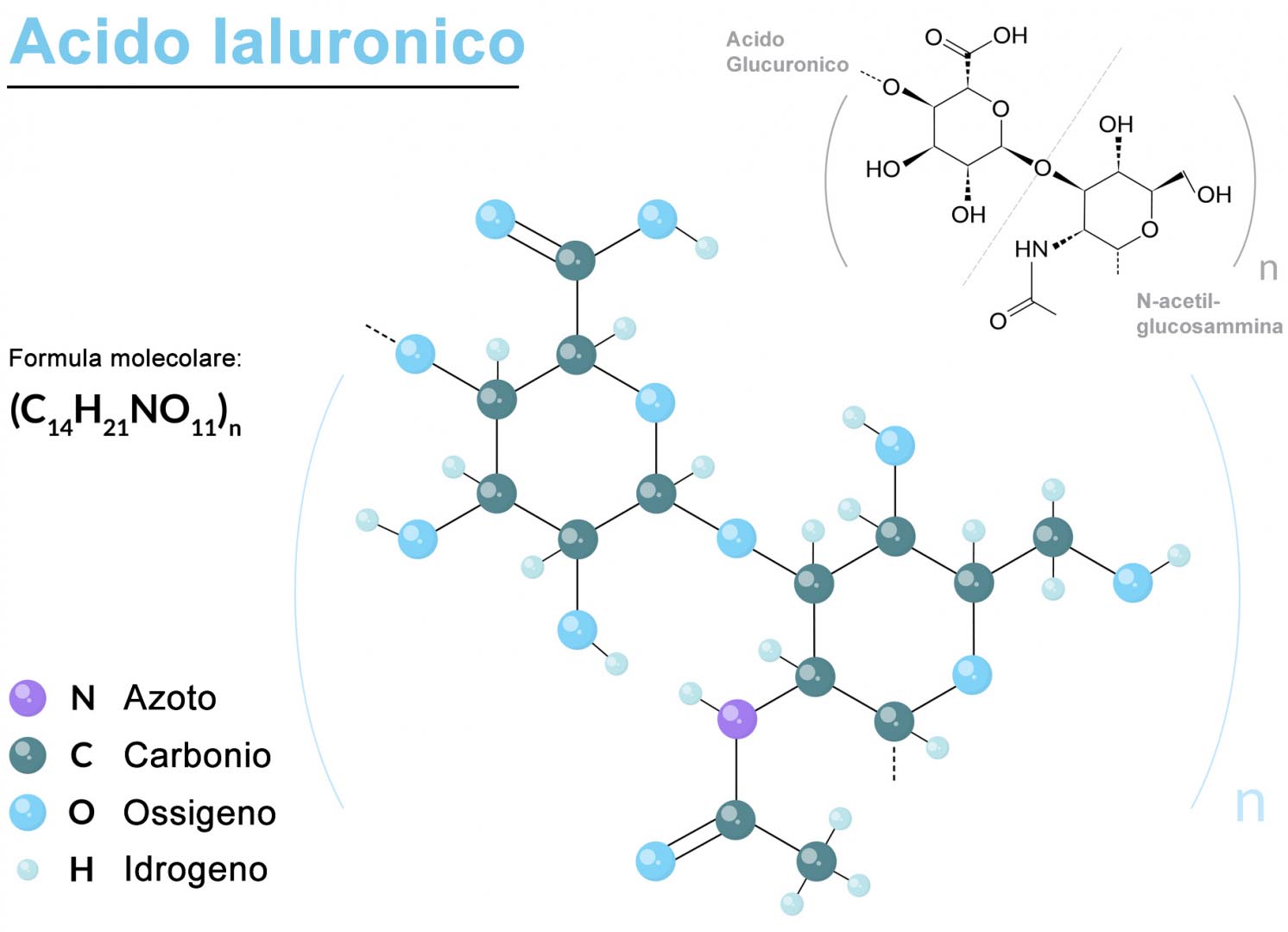 acido ialuronico struttura