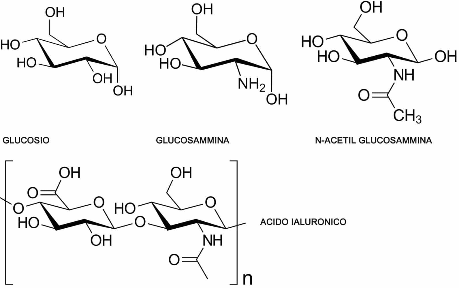 Amminoazuccheri - Glucosammina e N-ACetil Glucosammina