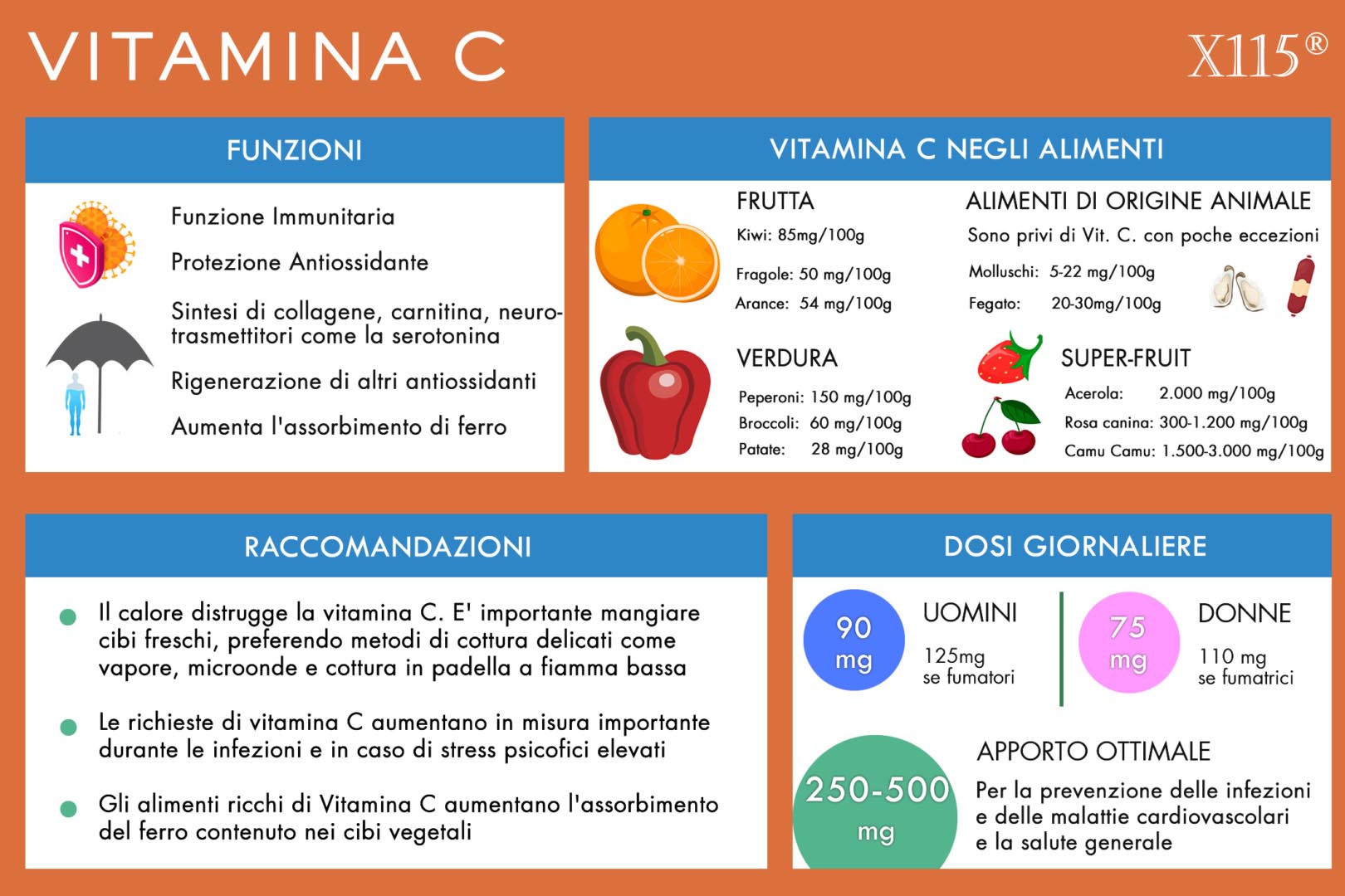 Vitamina C Infografica