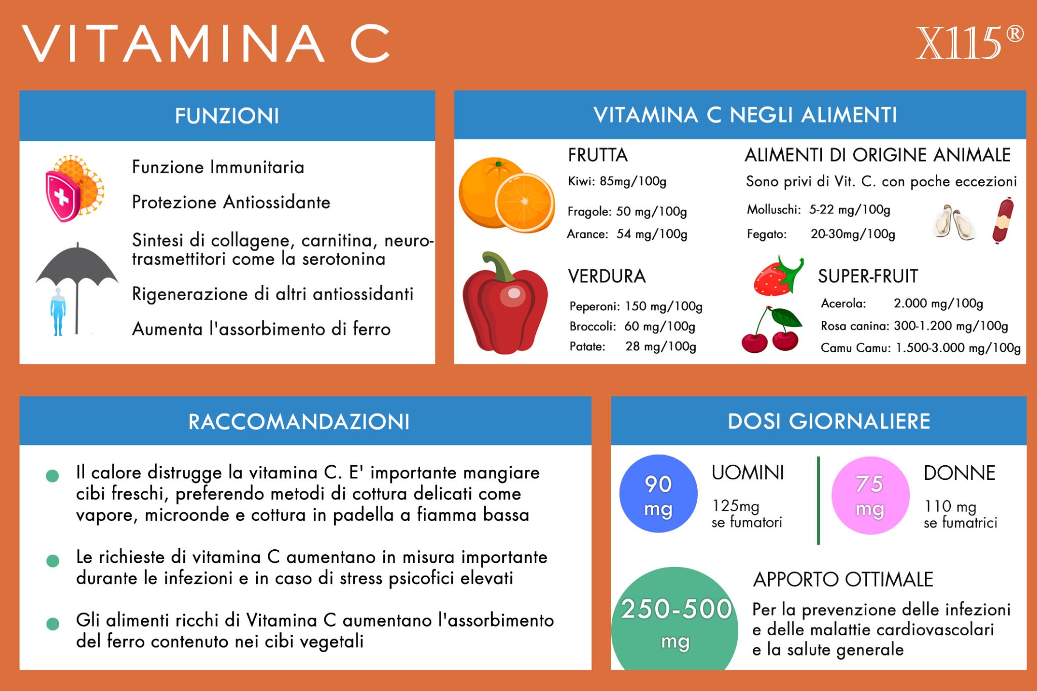Quanta Vitamina C al Giorno? Fabbisogno Dosi Ottimali X115®