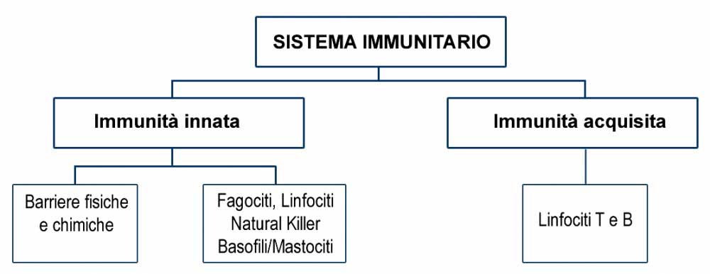 Immunità Innata e Specifica