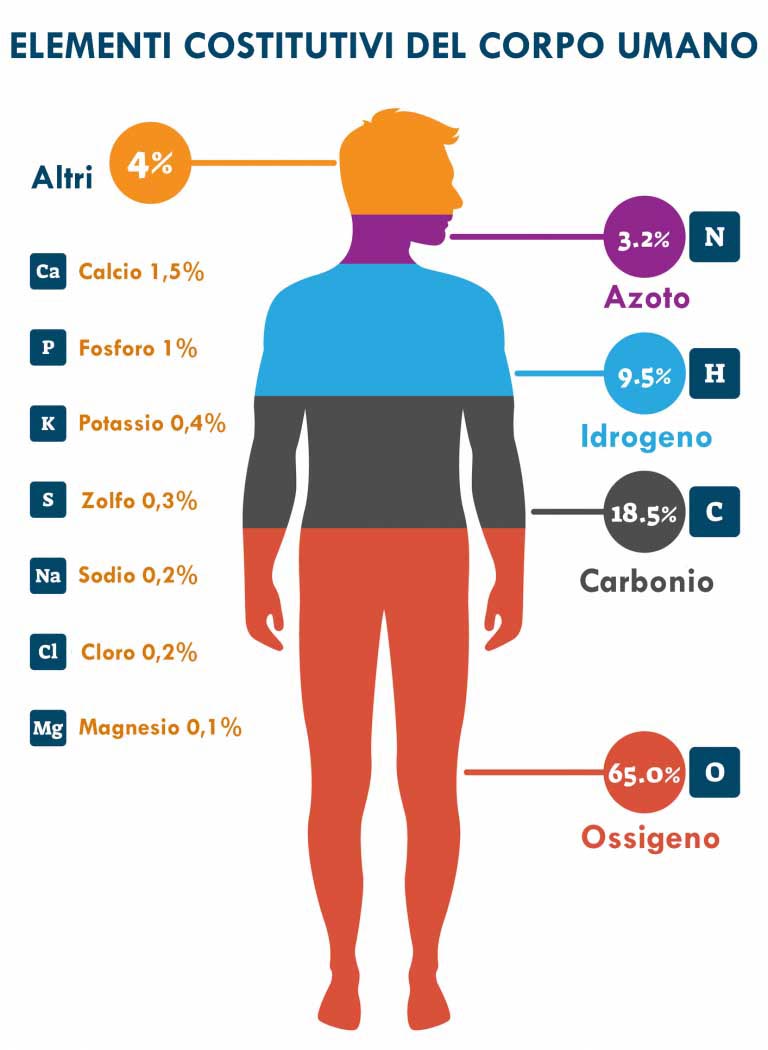Potassio Alimenti Lista Benefici Cibi Ricchi di Potassio X115® Potassio Alimenti Lista Benefici Cibi Ricchi di Potassio X115®