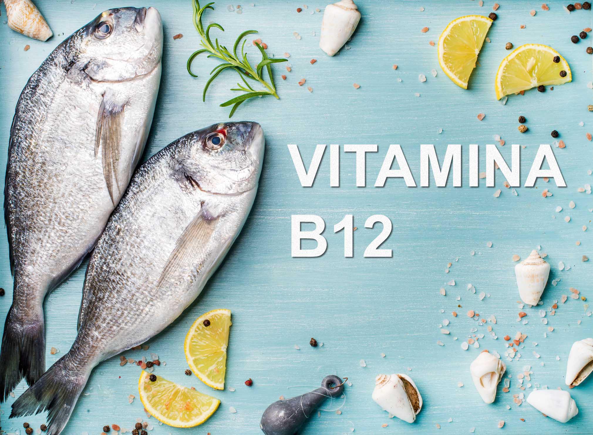 Vitamina B12 alimenti