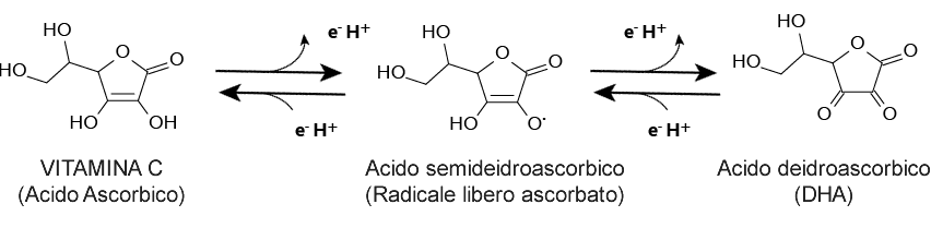 Acido Ascorbico ossidazione in Deidroascorbico