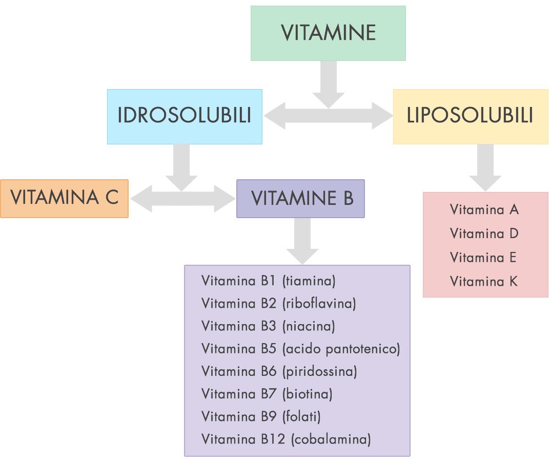 vitamine idrosolubili e liposolubili