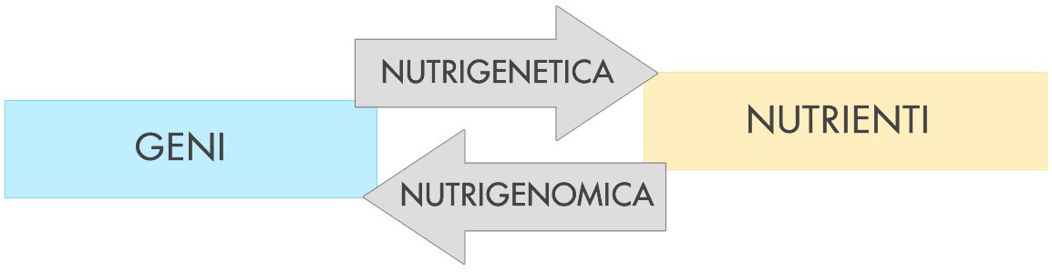 Nutrigenomica