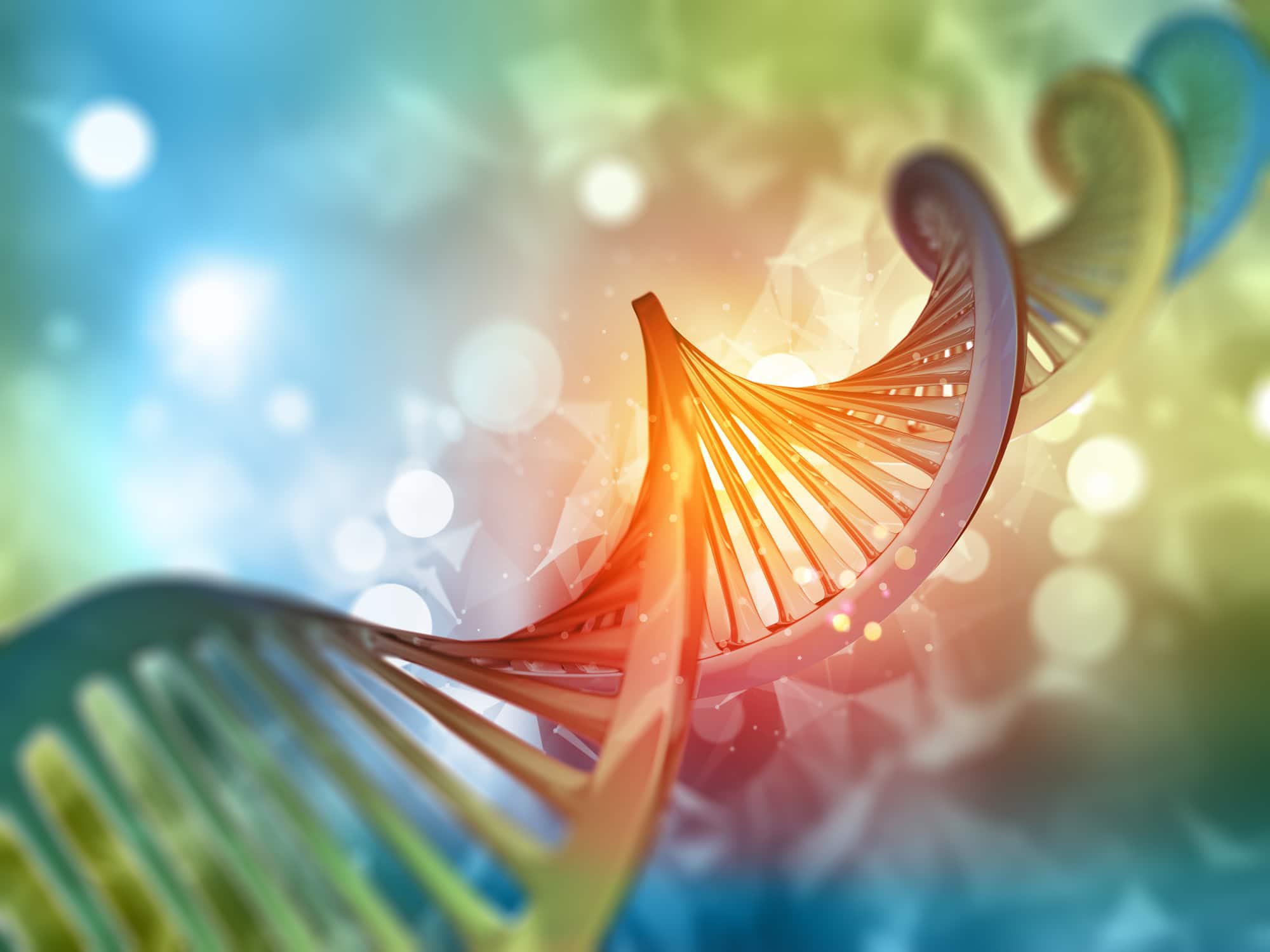 Epigenetica Significato Esempi Come Funziona X115 