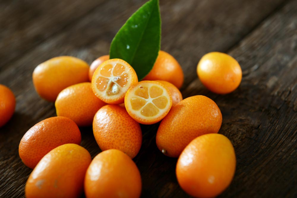 Kumquat fruits X115®