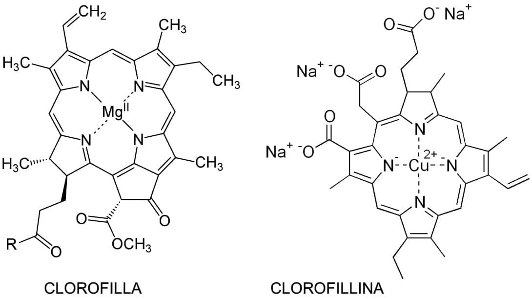 Clorofilla Clorofillina