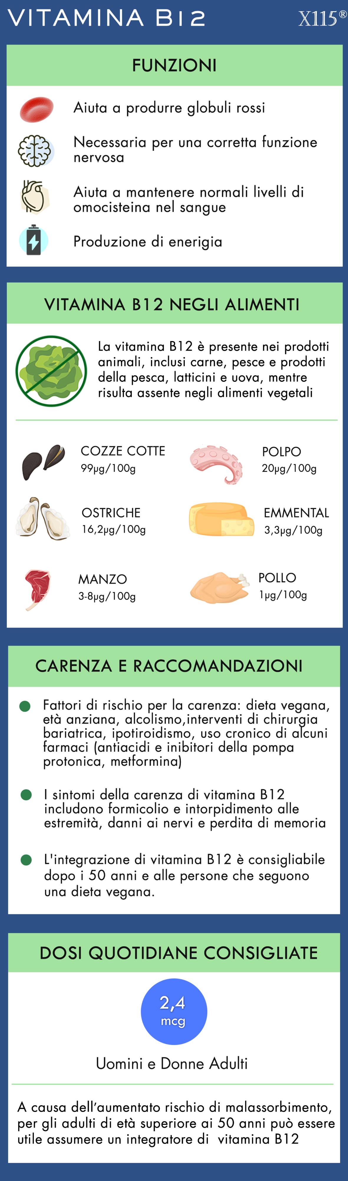 vitamina b12 infografica