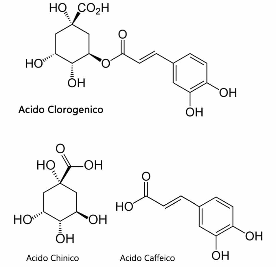 Acido Clorogenico - Struttura Chimica