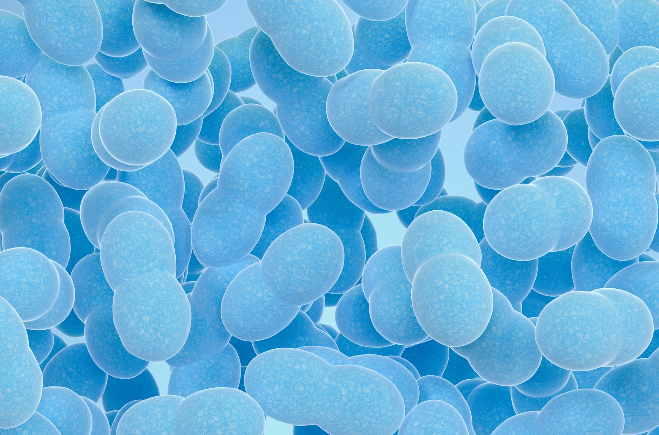Saccharomyces Boulardii