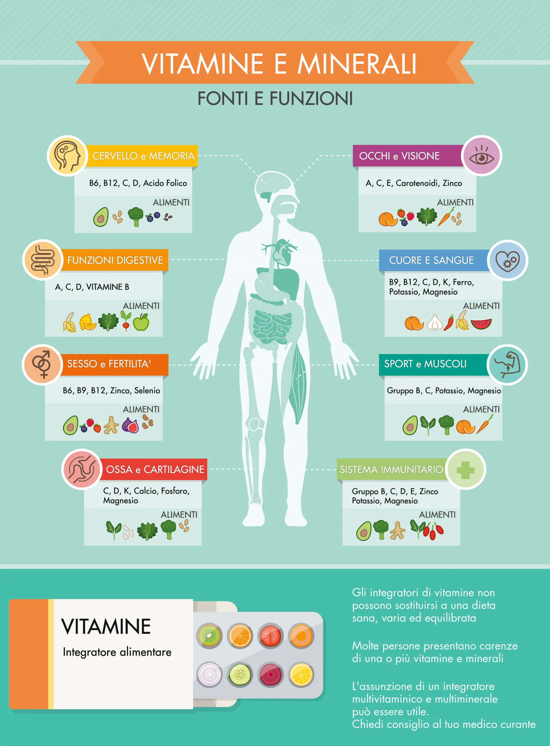 Vitamine Minerali Funzioni Alimenti Infografica