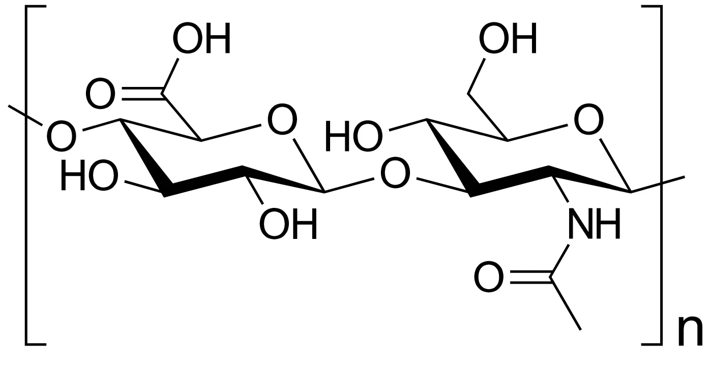 Acido Ialuronico - Struttura Chimica