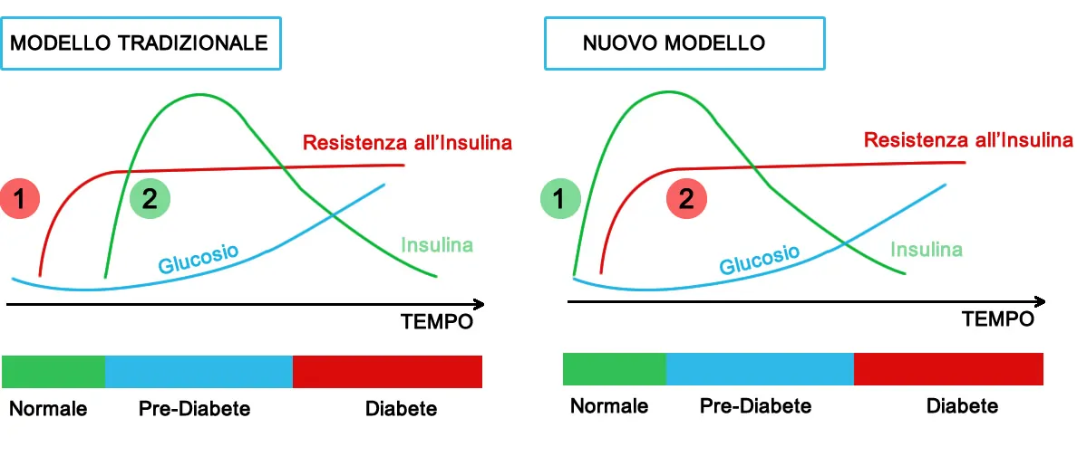 Resistenza all'Insulina e Iperinsulinemia