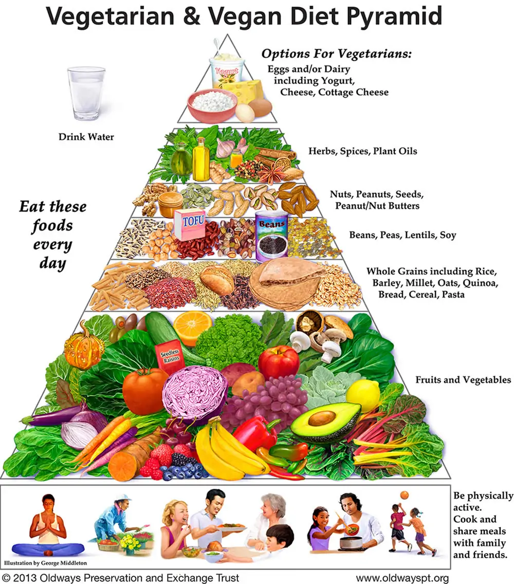 piramide alimentare vegana