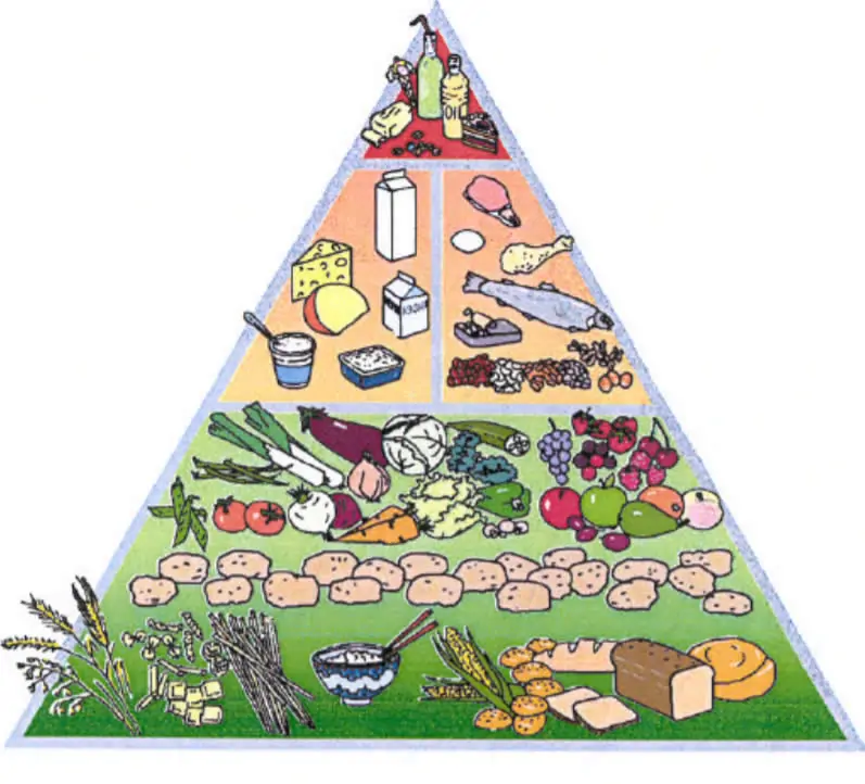 piramide alimentare who-oms
