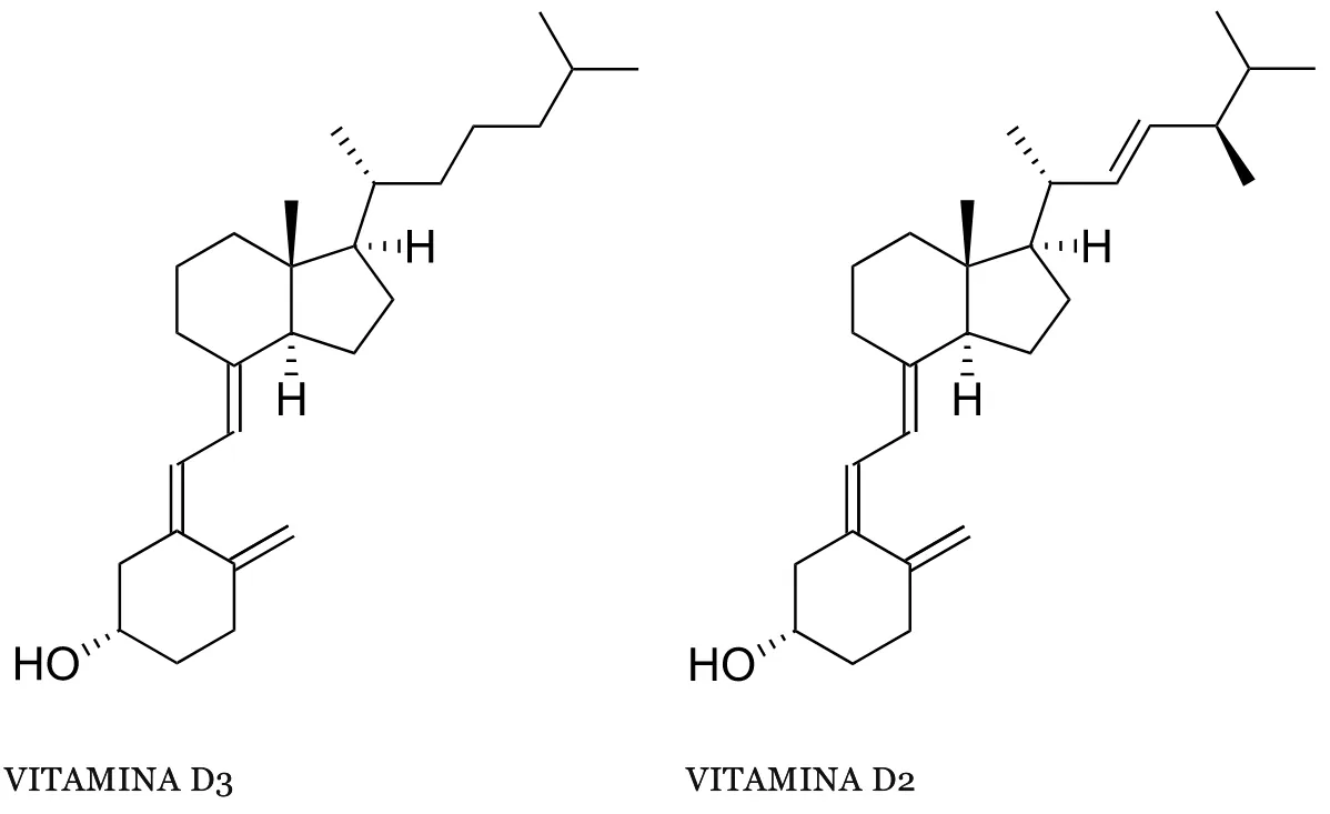 Vitamina D3 e D2 Struttura Chimica