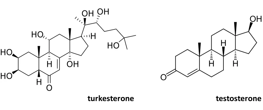 turkesterone struttura chimica