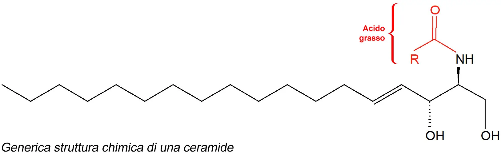 ceramide - struttura chimica