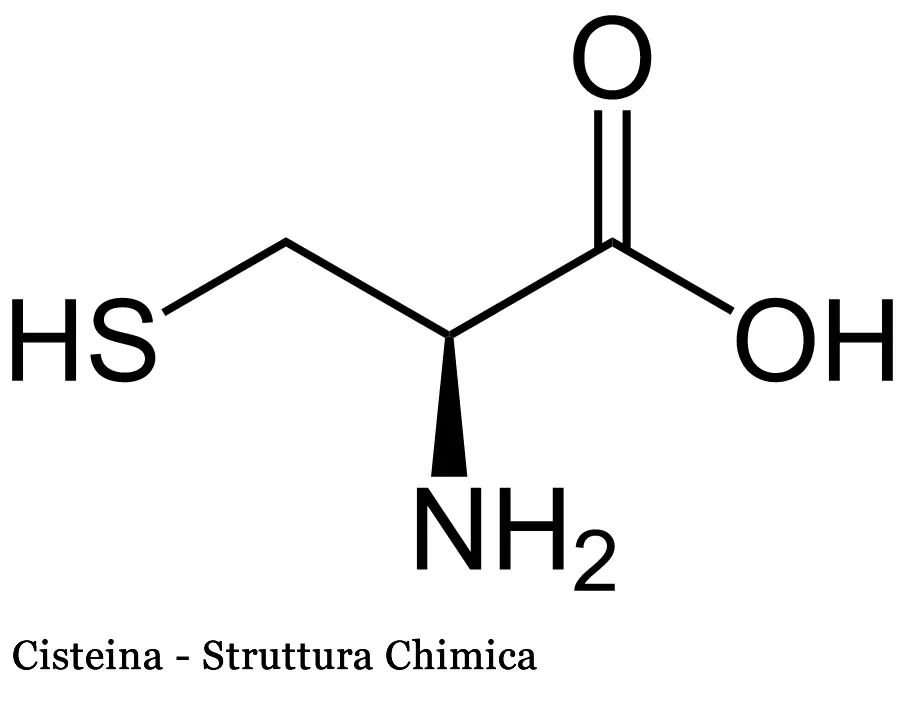 Cisteina struttura chimica