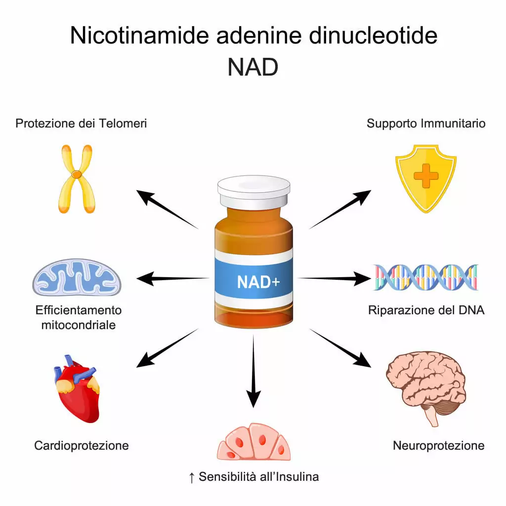 NAD+ Benefici
