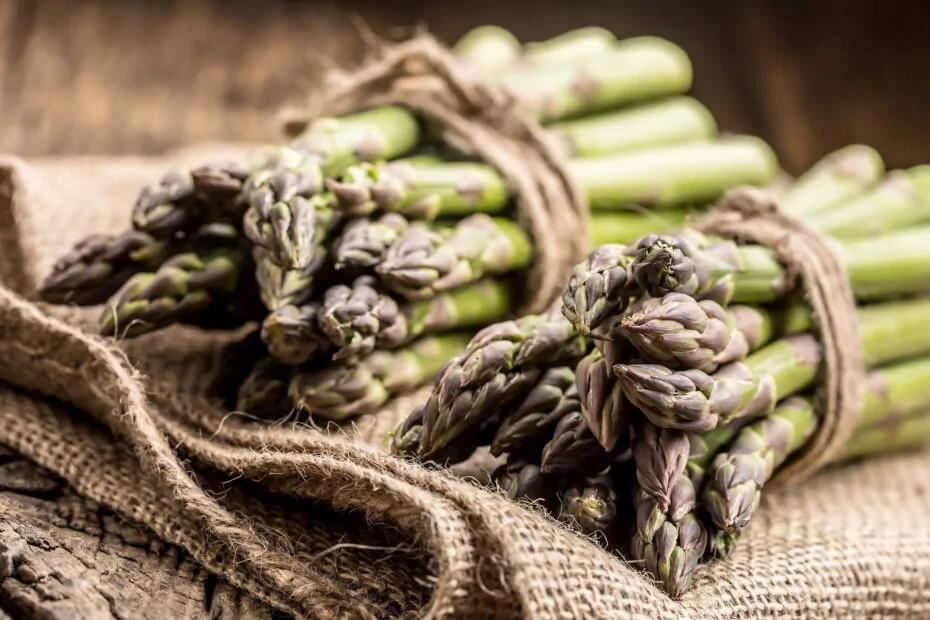 Asparagi